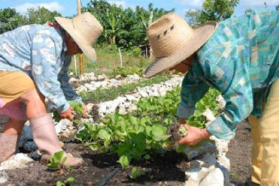 Naciones Unidas en Cuba destaca avances de la mujer rural