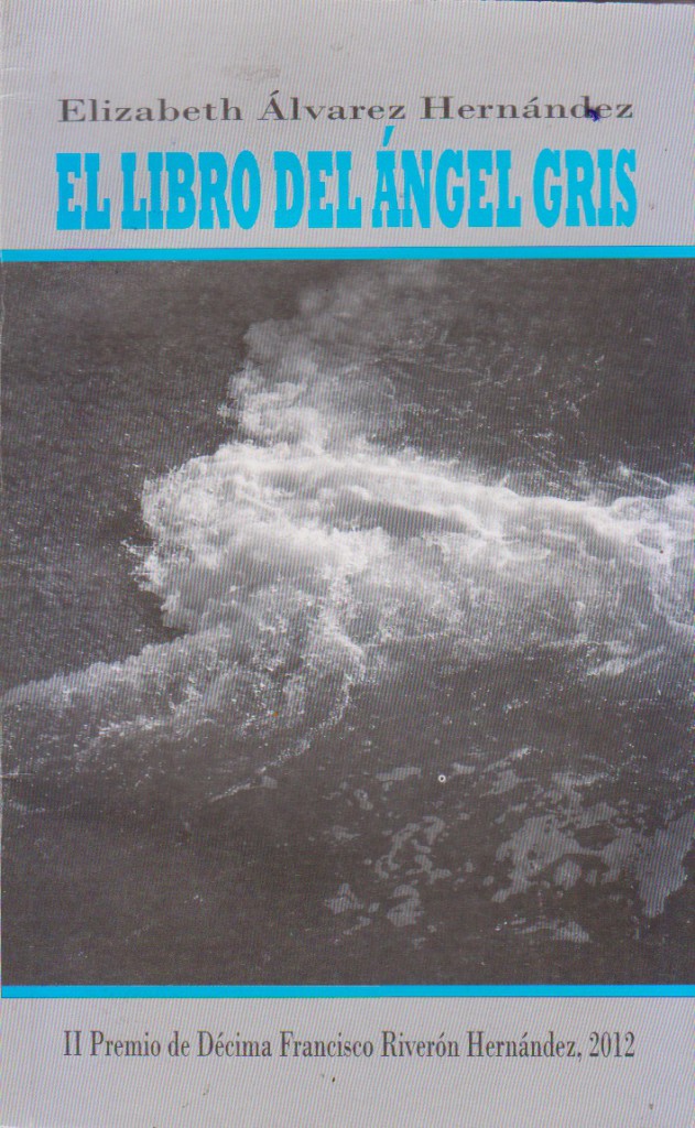 portada el libro del àngel gris