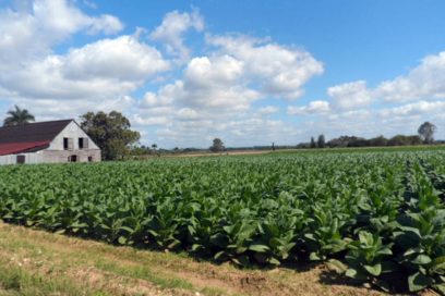 Lands in Usufruct: Some Years Later