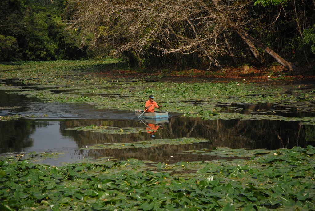 Aun en su estado, algunos se atreven a andar por las aguas del Ariguanabo.