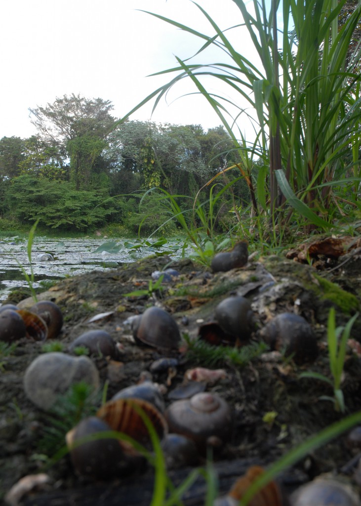 Fotos: Agustín Borrego 