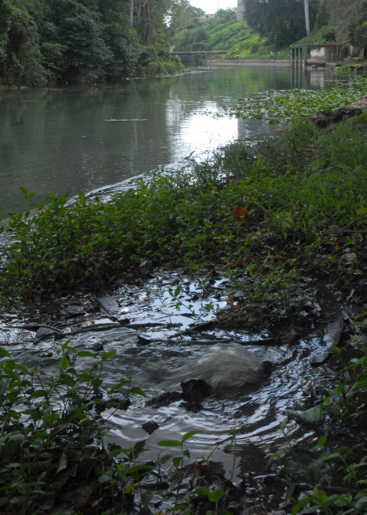 Más de 20 focos contaminantes generan el mal.