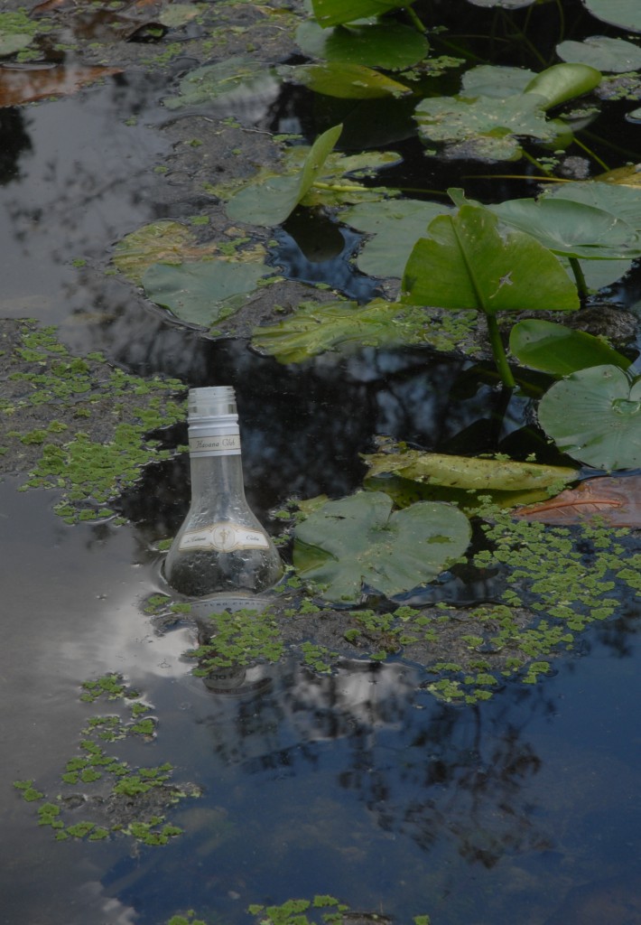 La huella de los humanos.