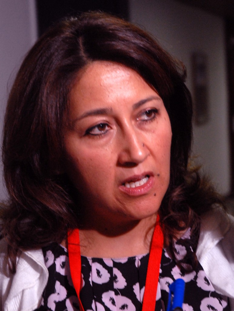 Ana Luisa Lellano, directora ejecutiva de RIADIS. Foto: Agustín Borrego Torres