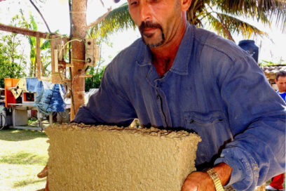 El púgil del cuentapropismo