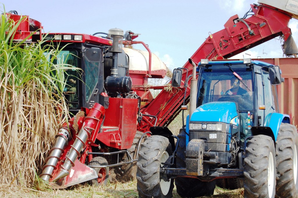 Los trabajadores del sector azucarero arribarán al Primero de Mayo con el plan de producción de la zafra cumplido. Foto: Del autor.