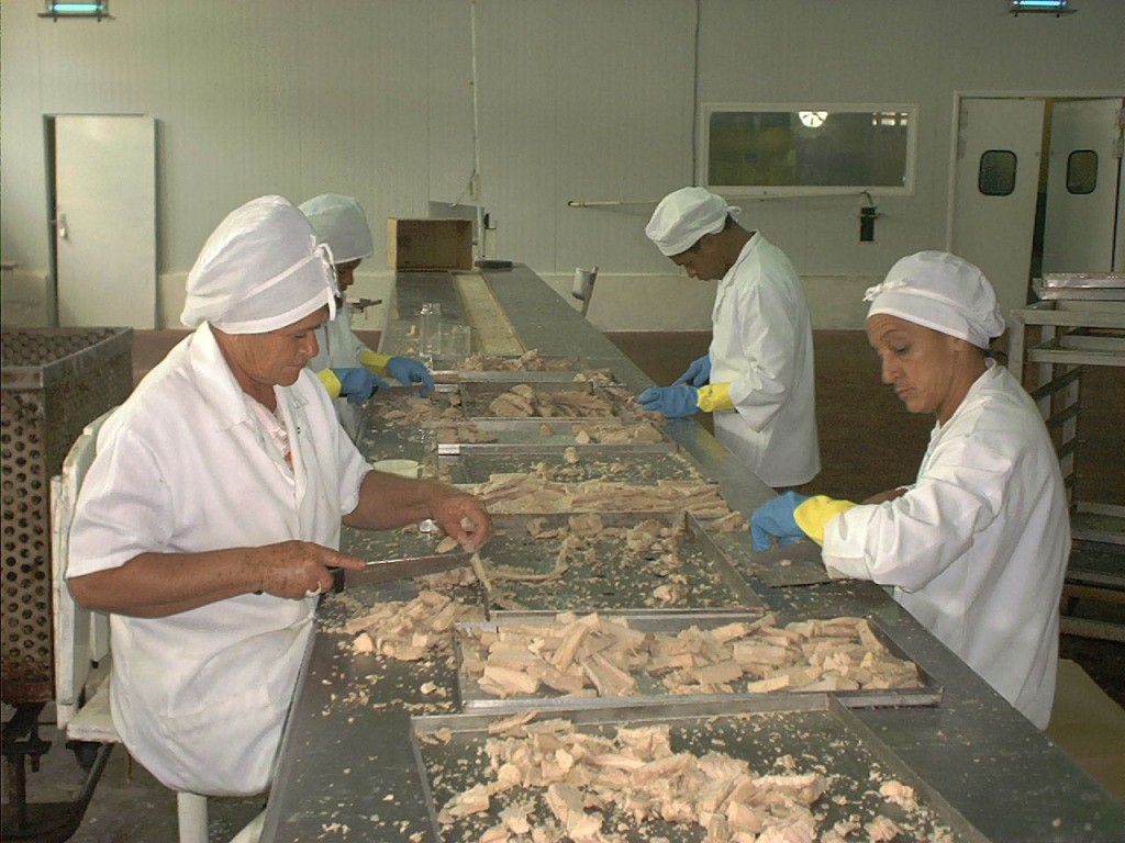 La planta procesadora de pescado y conformados, objeto de una remodelación, ha alcanzado también altos niveles productivos y diversifica sus ofertas. Foto: Cortesía EPICOL