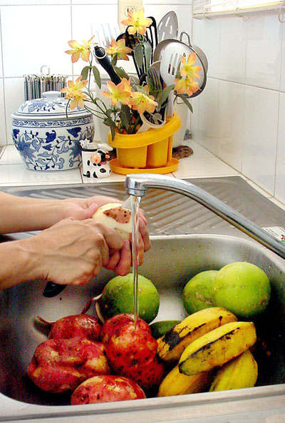 Se recomienda lavar bien los vegetales, desinfectarlos con hipoclorito de sodio y enjuagarlos con agua potable. Foto: Eddy Martin