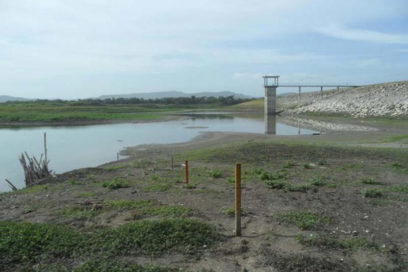 Toman medidas contra sequía en Pinar