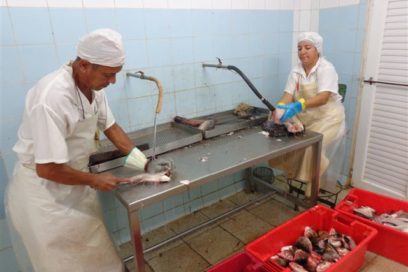 Mucha 17 por donde cortar