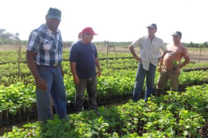 De paso por la economía espirituana
