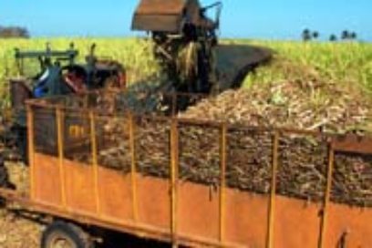 Establecen trabajadores cienfuegueros compromisos productivos por el Primero de Mayo