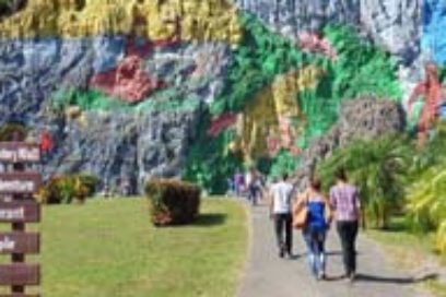 Pinar será catedral de turismo y naturaleza