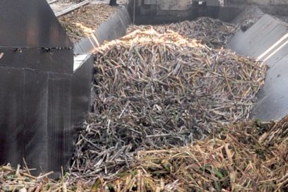 Producción de azúcar: urge el despegue