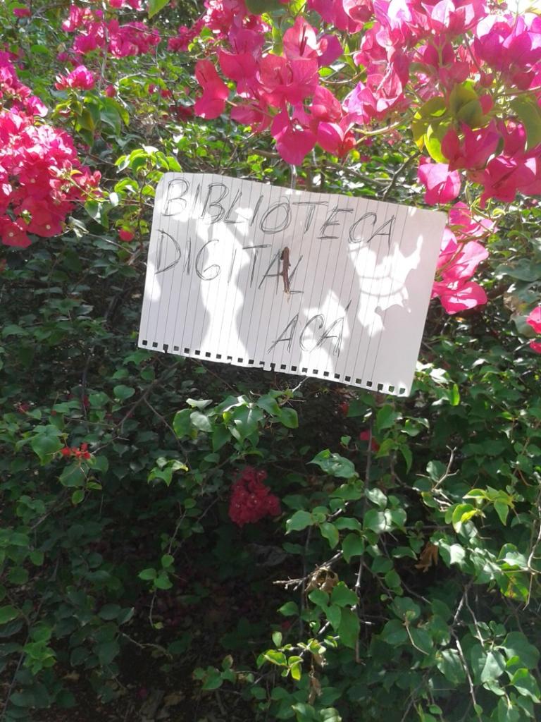 Suelta Masiva de Libros, 26 de abril de 2015, Parque de H y 21, La Habana. Foto: Rafael González Escalona