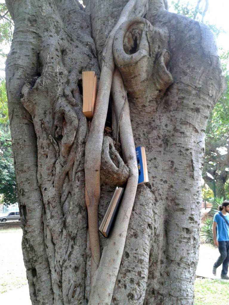 Suelta Masiva de Libros, 26 de abril de 2015, Parque de H y 21, La Habana. Foto: Rafael González Escalona