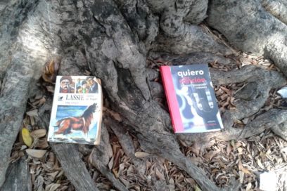 De libros y locos sueltos