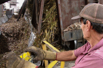 Cumple Sancti Spíritus plan de producción de azúcar