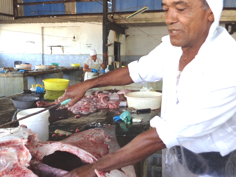 José Manuel Pacheco. Foto: Del autor