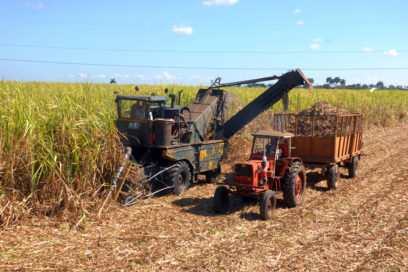 Cumple Cienfuegos plan de producción de azúcar