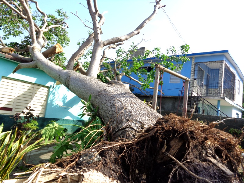 Así quedó la robusta salvadera.