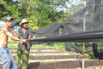 ¡Después de la tormenta!