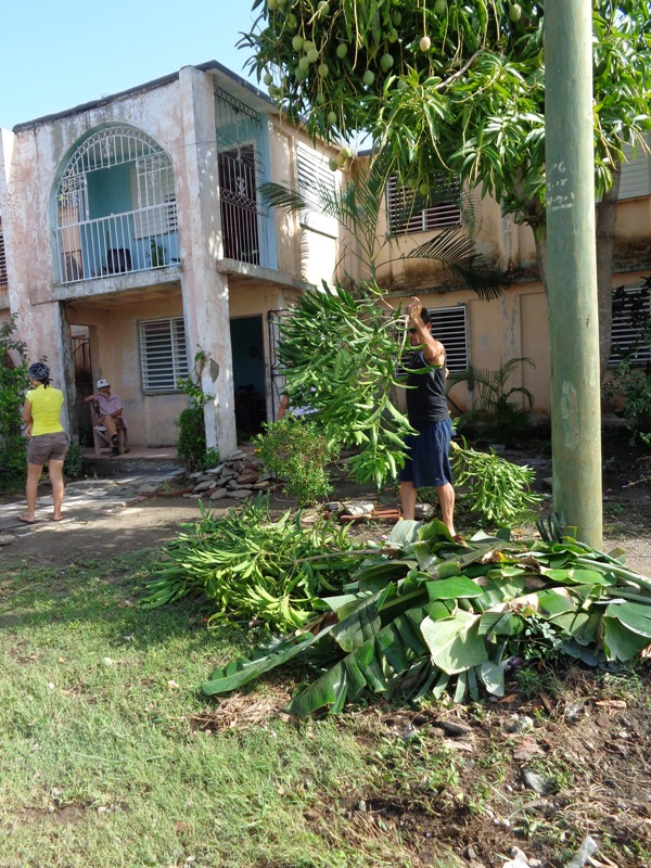 Los vecinos ponen en orden su entorno.