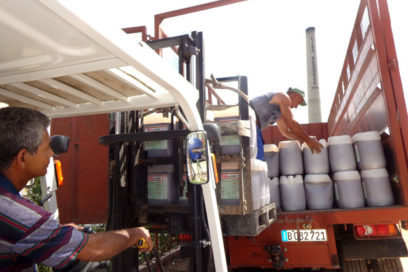 Fitomas E: Sana de estrés el antiestrés