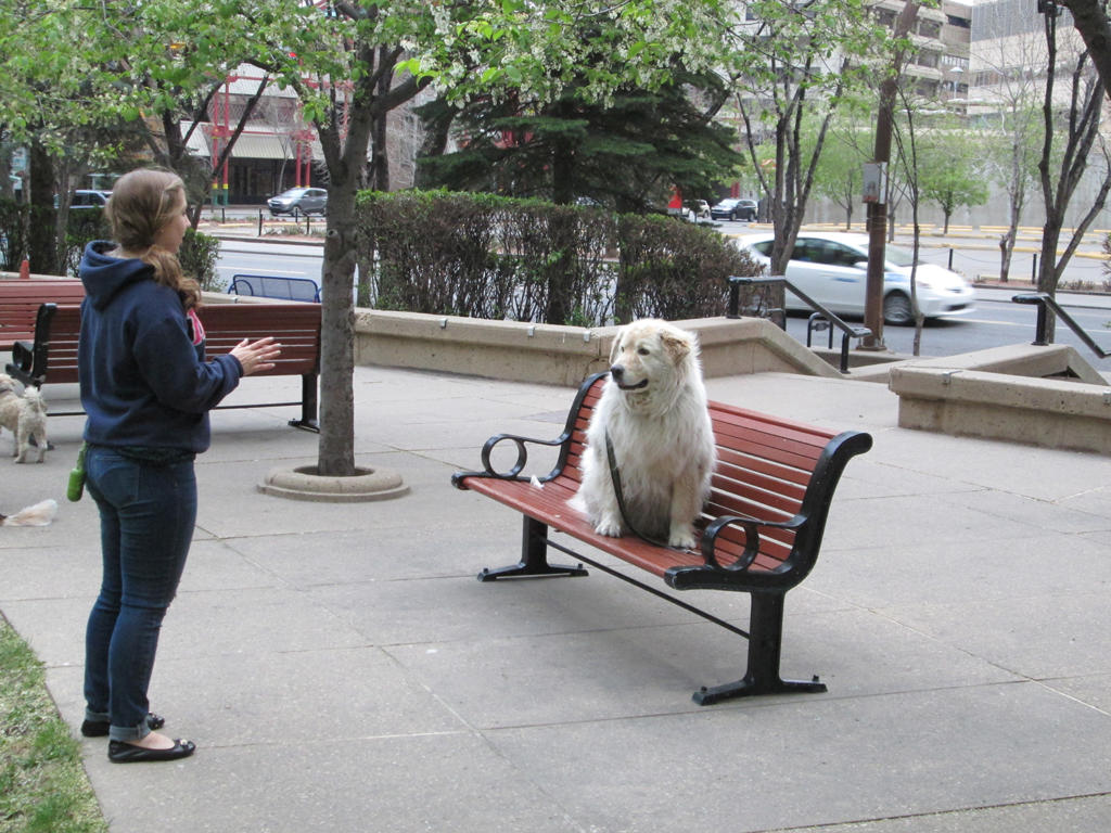 Una escena llamativa protagonizada por Tom y su dueña.  Foto: Rudens Tembrás Arcia, enviado especial