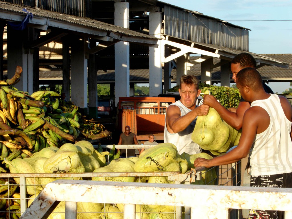 Foto: Agustín Borrego