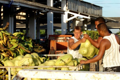 ¿Luces para el Trigal?