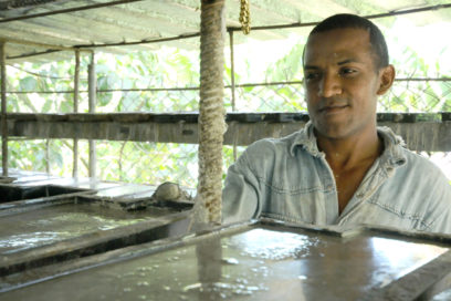 La carga económica del tabaco