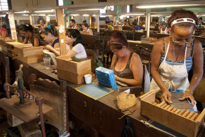 El lujoso arte de hacer habanos (+ Fotos)