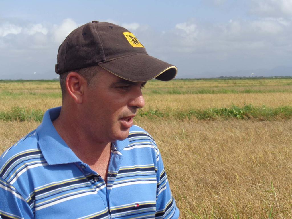 El director general de la empresa, Yoel Ribet Molleda, explica que la campaña de frío sufre daños que ascienden a 6705 toneladas. Fotos: Eduardo González Martínez