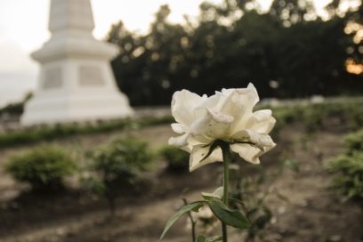 José Martí, héroe de sol y miel