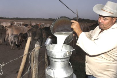 ¿Magia o ganadería?