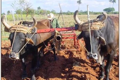 Cómo explotar las reservas agrícolas