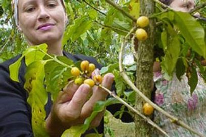 Nueva política de precios para insumos y acopio de productos agropecuarios