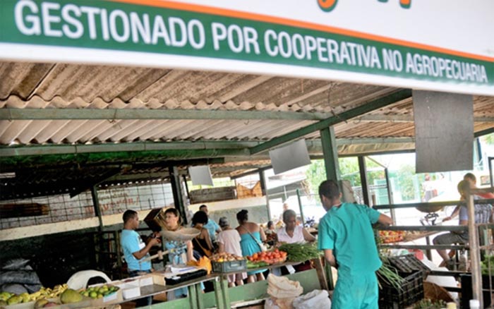 cooperativa-no-agropecuaria_0