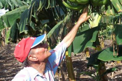 Del laboratorio al surco