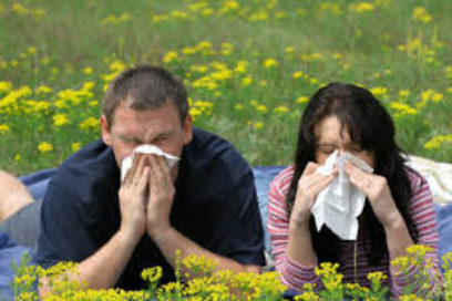 Para frenar las alergias