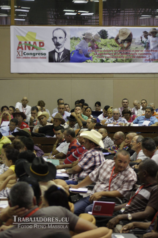 Comisiones de trabajo en el XI Congreso de la Anap.