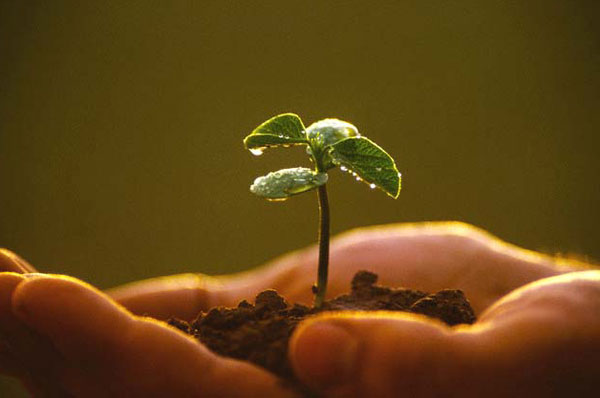 El suelo es fuente de vida, su cuidado ayudaría a mejorar la producción de alimentos.