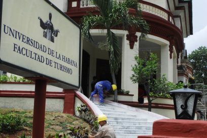 Levantar los cimientos desde las raíces