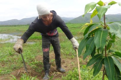 Día del Trabajador Forestal: Viaje a la semilla