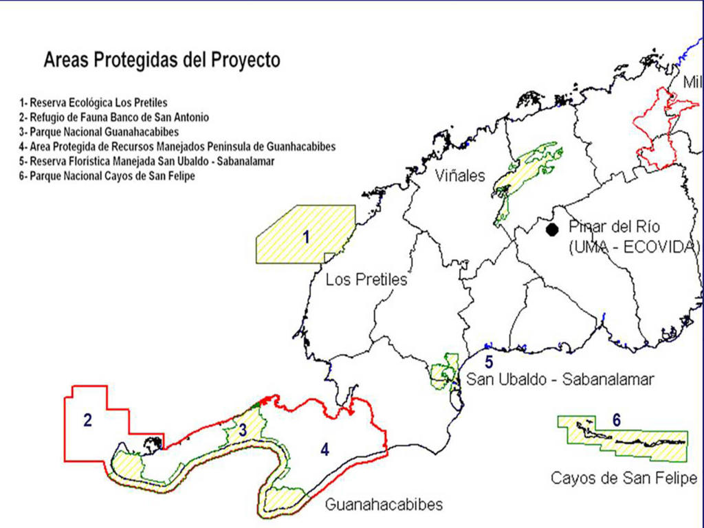 Distintas áreas involucradas en las acciones del proyecto.  