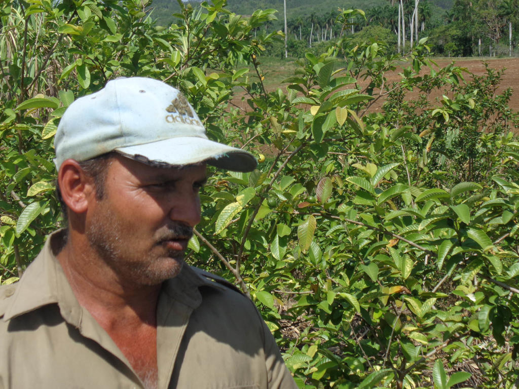 Con la aplicación de los distintos proyectos se “han generado impactos como una mejor situación económica de la cooperativa”, explicó Adalberto Cruz Fuentes, vicepresidente.  Foto: Eduardo González Martínez
