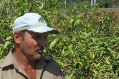 Ciencia para crear suelos