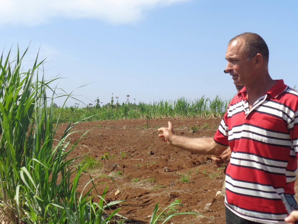 Entre otras medidas se ha procedido a la siembra de barreras vivas, se han corregido las cárcavas (zanjas) y se aplica materia orgánica. Foto: Eduardo González Martínez