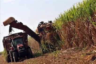 Tres palabras y un reto